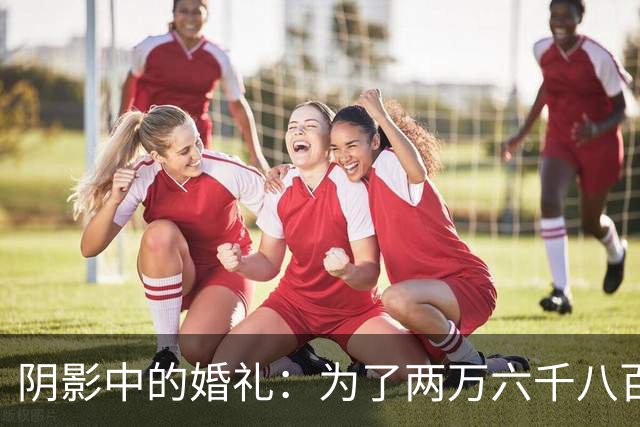 阴影中的婚礼：为了两万六千八百元，她为何杀死四位新郎